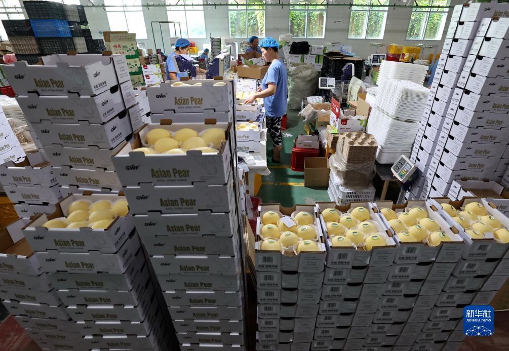 奥门新浦京游戏怎么样